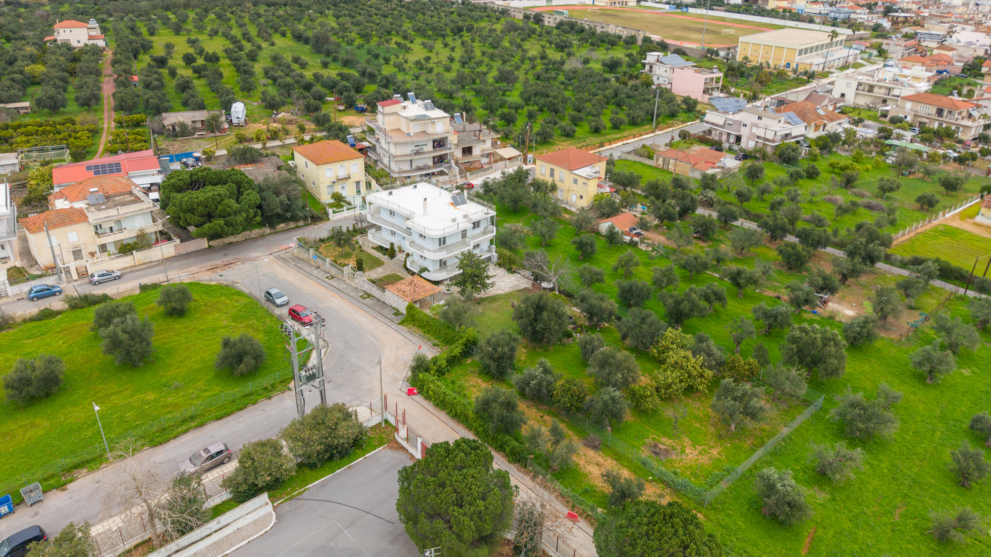 Property and olive grove context